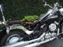 Drag Star 650 Mescalero banco solo bobber