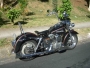 Harley Davidson Panshovel 1968 selim Vintage